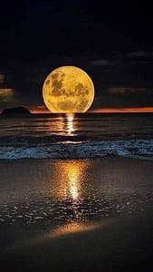 D4C7667F-0FA3-4785-B394-5A2EB337A576 D4C7667F-0FA3-4785-B394-5A2EB337A576 Meditation Online
