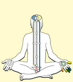 anim_kundalini anim_kundalini Meditation Online