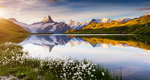 shutterstock_582496015 shutterstock_582496015 Meditation Online